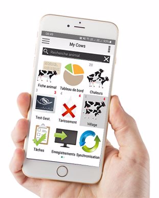 application mobile