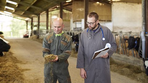 Bien préparer ma vache au vêlage : 6 questions sur l’intérêt des oligo-éléments Bien préparer ma vache au vêlage : 6 questions sur l’intérêt des oligo-éléments