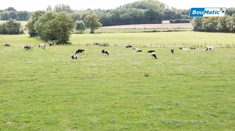 En moyenne, le troupeau tourne à deux traites et demie par jour.