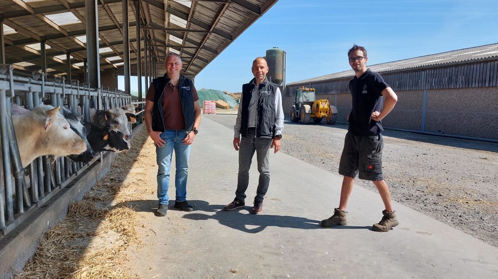 Viser la même efficience que le veau au pis grâce à l’Elvor HP BB