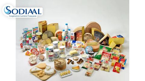 Les convictions de Sodiaal reposent sur la force du collectif de la coopérative, le métier nourricier de producteur de lait, l'ancrage territorial et son rôle dans la transition. Les convictions de Sodiaal reposent sur la force du collectif de la coopérative, le métier nourricier de producteur de lait, l'ancrage territorial et son rôle dans la transition.