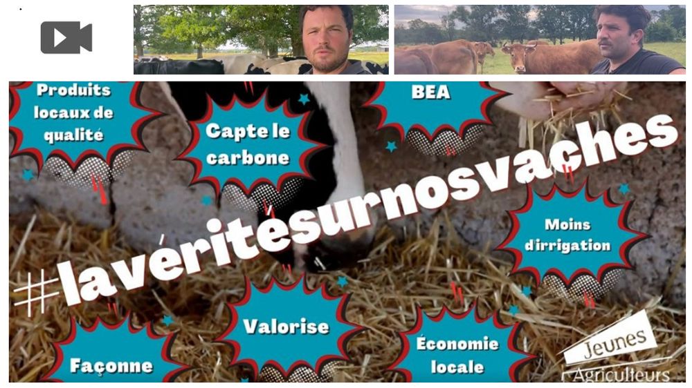 En 4 min, Cédric et Antoine espèrent convaincre le grand public des bienfaits de l'élevage.