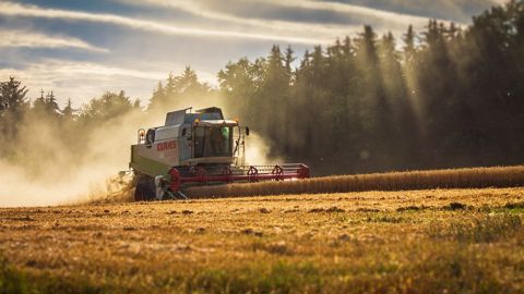 Le service statistique du ministère de l'agriculture met à jour ses estimations de productions au 1er juillet 2023. Le service statistique du ministère de l'agriculture met à jour ses estimations de productions au 1er juillet 2023.