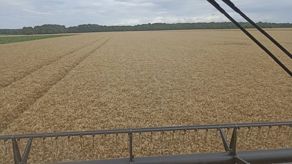 Et chez vous ? Comment se passe ou s'est passée cette moisson 2023 ? Dites-nous en commentaires.