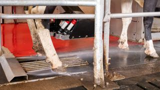 Le système de pulvérisation des pattes Lely Meteor présente un nouveau design et son utilisation pour deux stalles de robots a été facilitée. Le système de pulvérisation des pattes Lely Meteor présente un nouveau design et son utilisation pour deux stalles de robots a été facilitée.