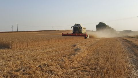 Moisson Live propose un premier bilan des résultats de récolte directement issus du terrain. Moisson Live propose un premier bilan des résultats de récolte directement issus du terrain.