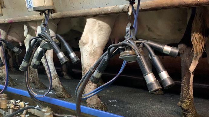 Bien que la production laitière pourrait ralentir au sein de l'UE, la demande mondiale elle sera à la hausse.