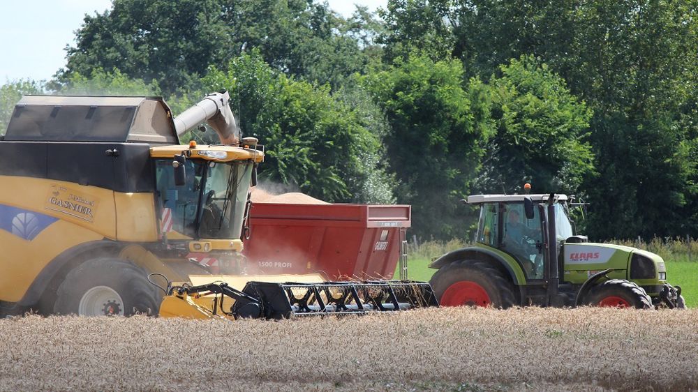Moisson du blé