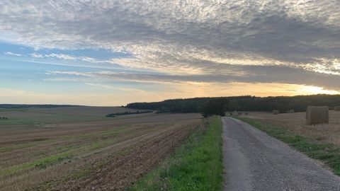72 % de nappes phréatiques sont en-dessous des normales de saison, selon le ministère de la transition écologique. 72 % de nappes phréatiques sont en-dessous des normales de saison, selon le ministère de la transition écologique.