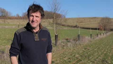 Pierre Pujos devant une parcelle d'agroforesterie