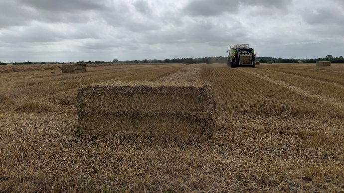 Le débit de chantier accéléré des presses à balles carrées séduit, mais attention : les ballots doivent être rentrés à temps car ils craignent la pluie.