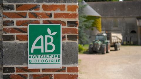 FranceAgriMer a ouvert le guichet de l'aide exceptionnelle destinée aux exploitations spécialisées en agriculture biologique. FranceAgriMer a ouvert le guichet de l'aide exceptionnelle destinée aux exploitations spécialisées en agriculture biologique.