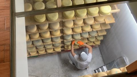 Production de fromage
