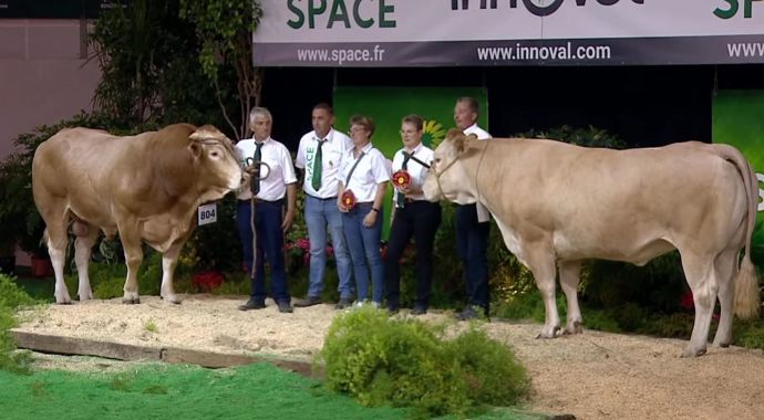 Océanie et Sagittaire