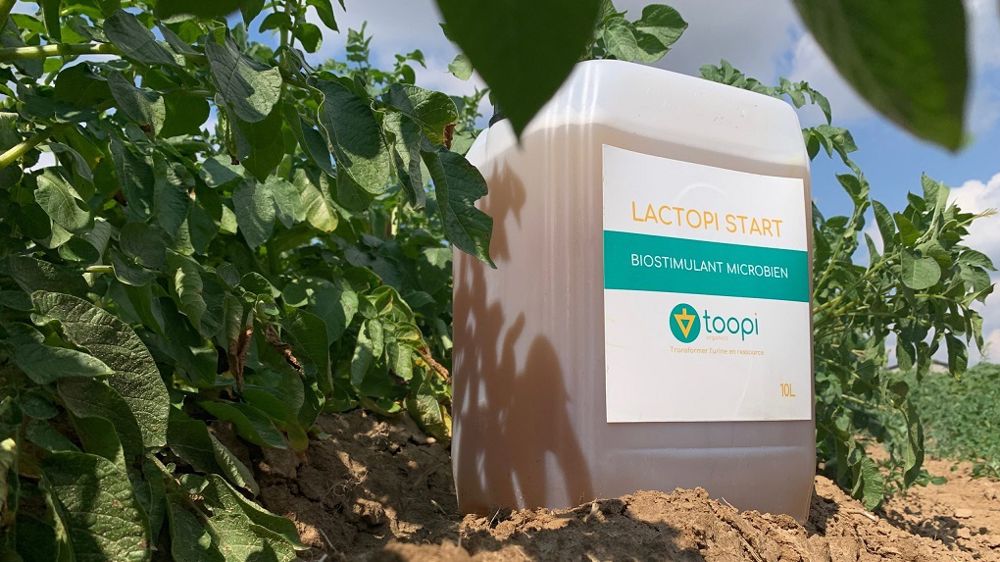 Lactopi Start
