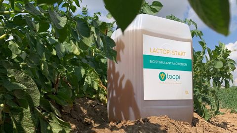 Lactopi Start est le premier biostimulant urino-sourcé lancé par la start-up Toopi Organics. Lactopi Start est le premier biostimulant urino-sourcé lancé par la start-up Toopi Organics.