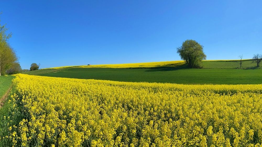Les producteurs de grandes cultures réclament un vrai plan pour réussir les transitions.