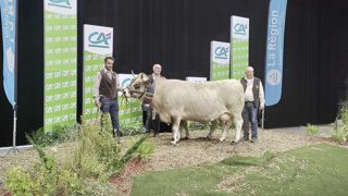 Joconde, grande championne au Sommet de l'élevage 2023. Joconde, grande championne au Sommet de l'élevage 2023.