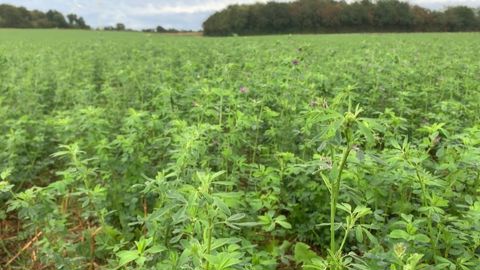 Pour Sarah Singla, la couverture des sols est un enjeu majeur et doit fédérer tous les agriculteurs, quel que soit leur système.