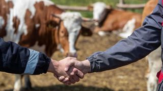 Depuis le 1er janvier 2023, toutes les ventes de bovins doivent faire l’objet un contrat entre l’éleveur et le premier acheteur. Depuis le 1er janvier 2023, toutes les ventes de bovins doivent faire l’objet un contrat entre l’éleveur et le premier acheteur.