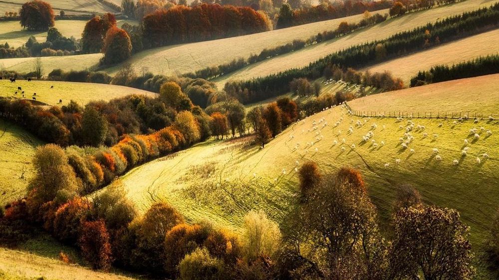 Soleil en automne