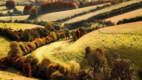 La semaine sera encore marquée par des températures au-dessus des normales de saison. La semaine sera encore marquée par des températures au-dessus des normales de saison.