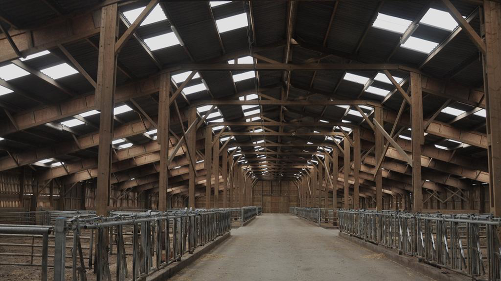 Bâtiment de vaches allaitantes vide.