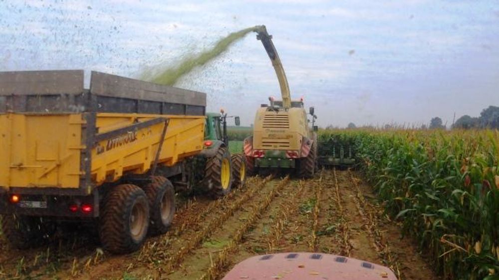 Ensileuse au champ ensilage de maïs