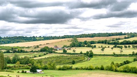 Une proposition de loi est examinée au Sénat pour créer un groupement foncier agricole d'épargnants