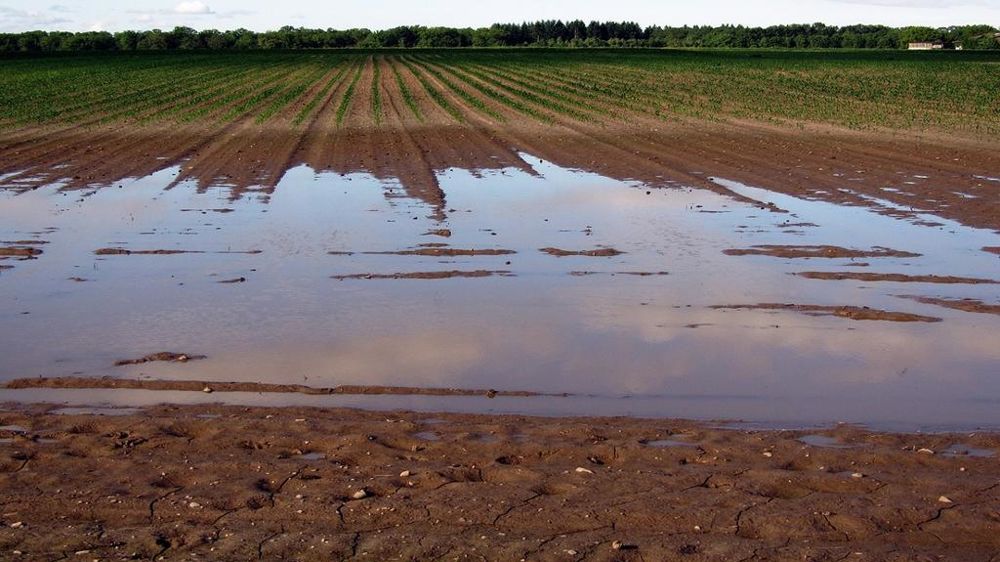 Les cumuls de précipitations ressortent trop élevé en Europe de l'Ouest.