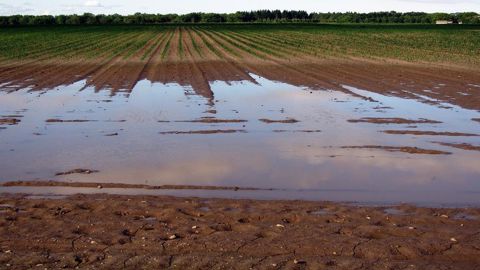 Les cumuls de précipitations ressortent trop élevé en Europe de l'Ouest. Les cumuls de précipitations ressortent trop élevé en Europe de l'Ouest.