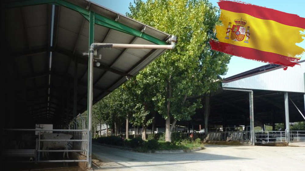 Les larges ouvertures et la présence d'arbres permettent d'apporter de la fraîcheur.