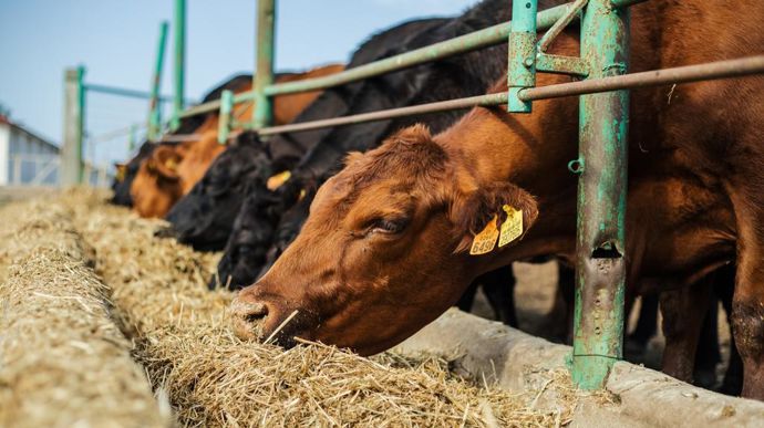 En vue des élections européennes de 2024, Interbev, la FNH et l'Institut Veblen présentent une feuille de route pour la réciprocité des normes.
