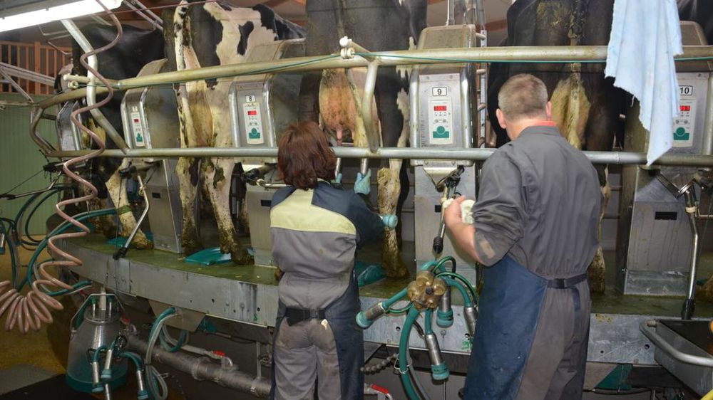 Deux personnes dans une salle de traite