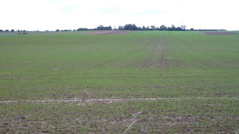 En Europe de l'Ouest, notamment en France, les semis de blé sont retardés par la pluie dans certaines zones, et les courtiers surveillent
