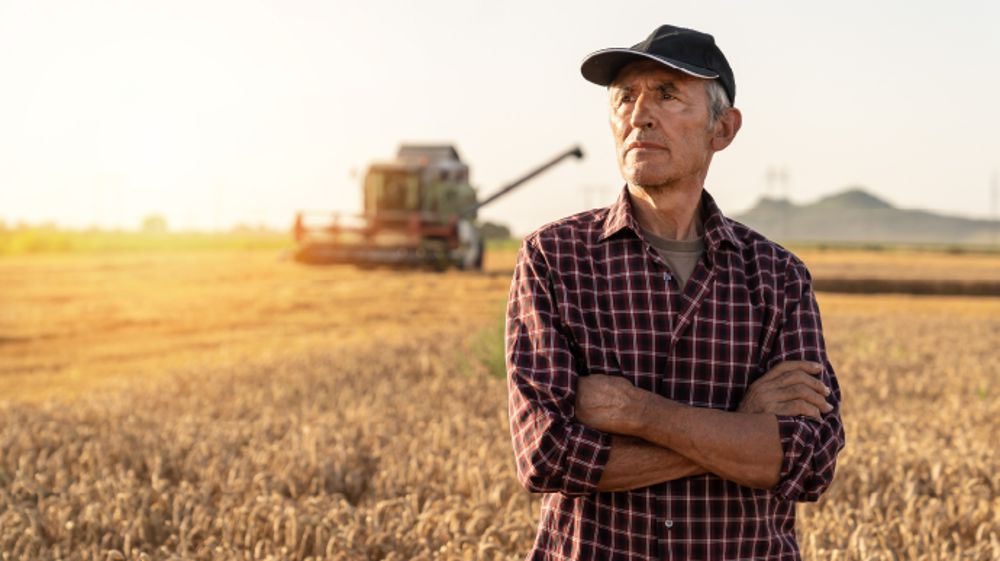 Optimisez votre rendement de blé avec Pygmalion, le fongicide novateur