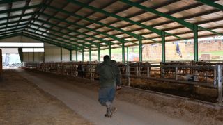 Souvent insuffisante, la ventilation des bâtiments d'élevage est pourtant une composante essentielle de la santé et du bien-être des animaux.