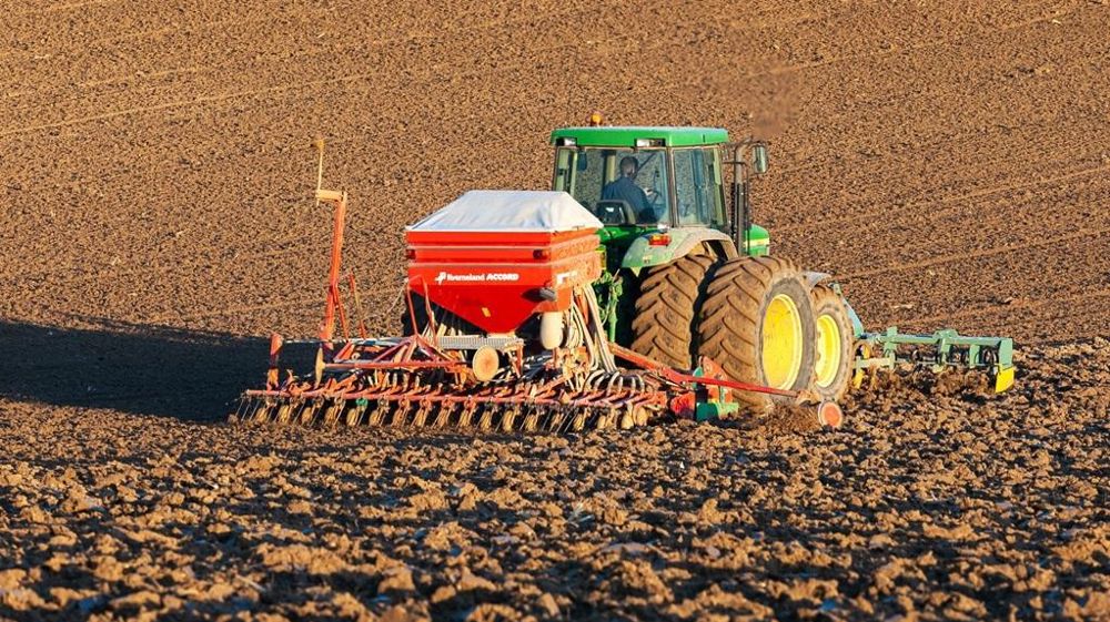Semis de blé sur champ labouré