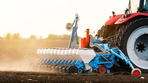 Adapter la culture de maïs aux changements climatiques, c’est possible !
