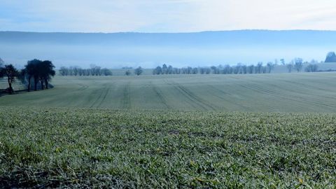 De fréquentes gelées sont attendues en plaine à partir de la fin de la semaine. De fréquentes gelées sont attendues en plaine à partir de la fin de la semaine.