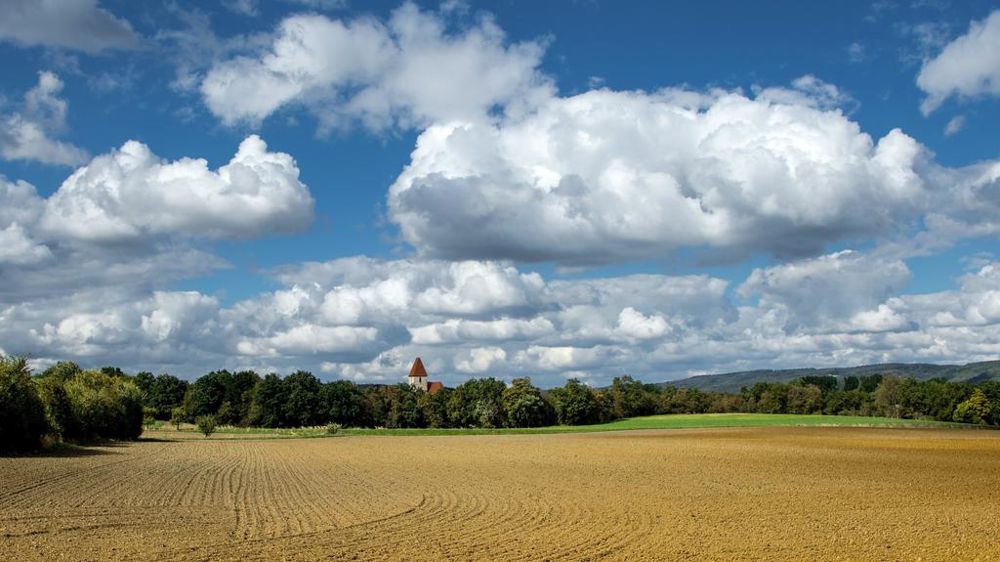 champ paysage campagne