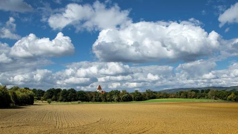 La Commission européenne estime, dans un récent rapport, que la Pac 2023-2027 est bien la plus vertueuse sur le plan environnemental et climatique.
