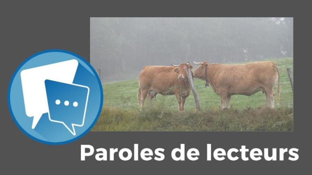Paroles de lecteurs disparition des éleveurs et de l'élevage