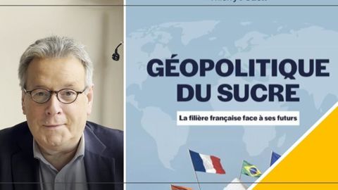 Thierry Pouch, co-auteur de Géopolitique du sucre, évoque les défis de la filière betteravière française. Thierry Pouch, co-auteur de Géopolitique du sucre, évoque les défis de la filière betteravière française.