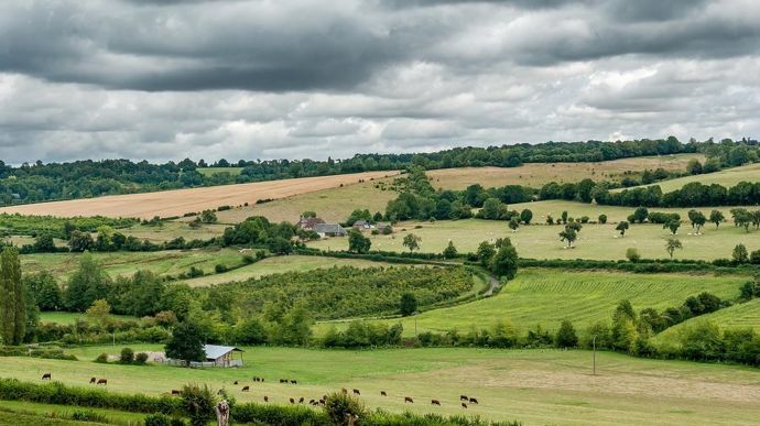 Le déficit d'herbe s'élève à 8 % en 2023. Le déficit d'herbe s'élève à 8 % en 2023.