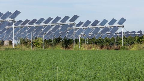 Le gouvernement a rendu ses derniers arbitrages sur l'agrivoltaïsme. Le décret va être transmis au conseil supérieur de l'Energie puis au conseil d'Etat, sa publication est envisagée pour fin janvier. 