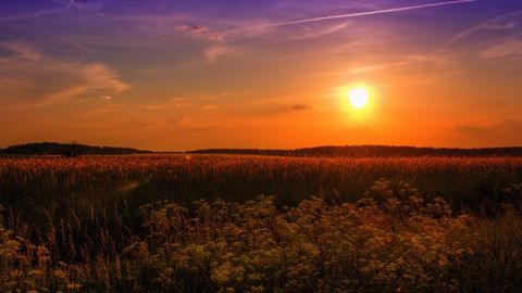 La perte de rendement agricole due à la sécheresse est estimée à 25 % entre 1961 et 2006, selon le Giec.