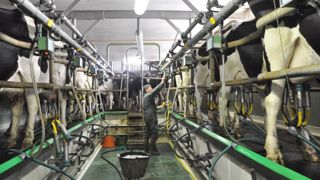 La baisse de la collecte laitière française s'est poursuivie au mois d'octobre.