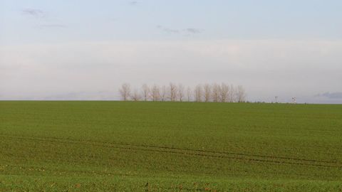 Le service statistique du ministère de l'agriculture présente ses premières prévisions de surfaces pour la campagne 2023/24. Le service statistique du ministère de l'agriculture présente ses premières prévisions de surfaces pour la campagne 2023/24.