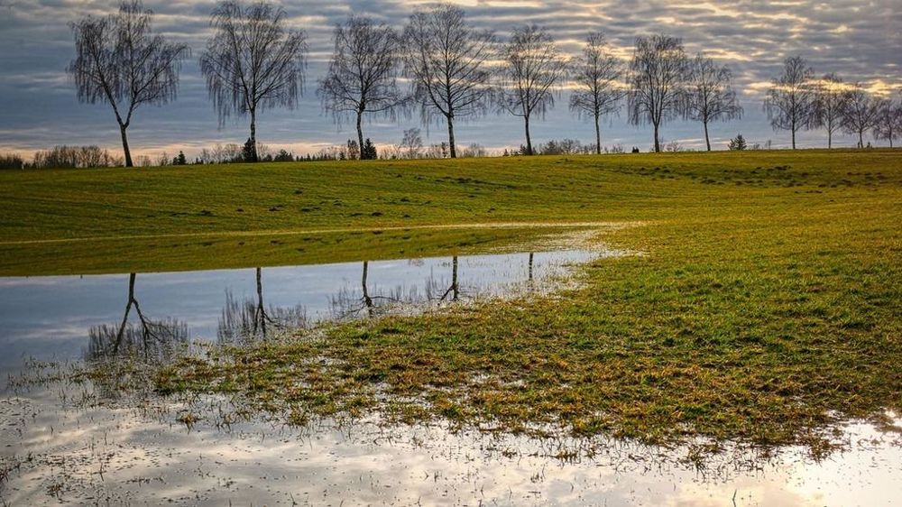 Prairie inondée